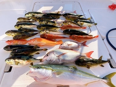 フィシングボートAir(エアー) 釣果