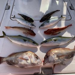 フィシングボートAir(エアー) 釣果