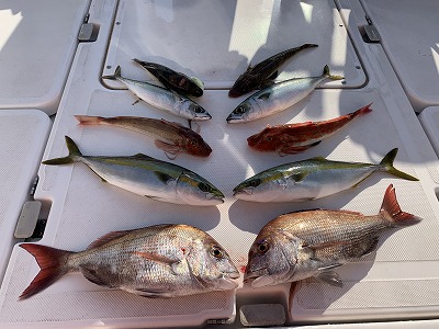 フィシングボートAir(エアー) 釣果