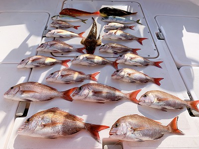 フィシングボートAir(エアー) 釣果