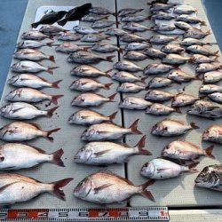 海人丸(うみんちゅまる) 釣果