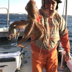 釣り船角田 釣果