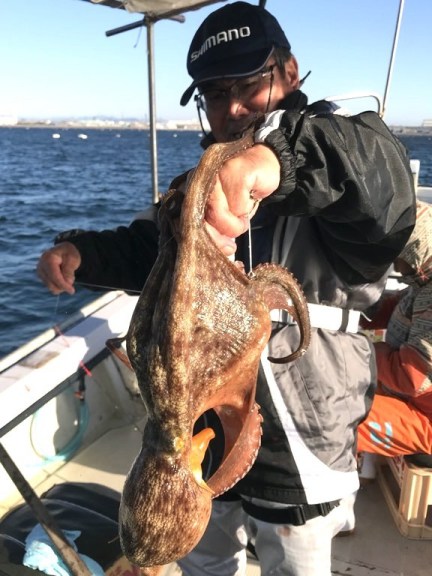 釣り船角田 釣果