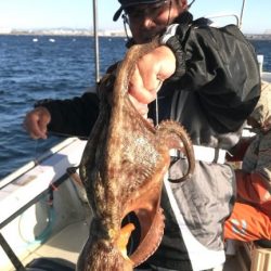 釣り船角田 釣果