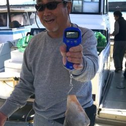 釣り船角田 釣果