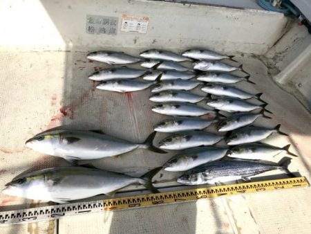 釣り船角田 釣果