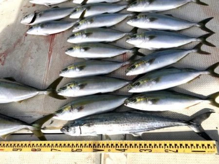 釣り船角田 釣果