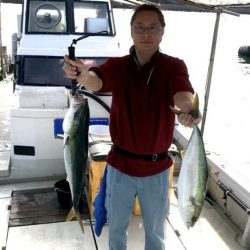 釣り船角田 釣果