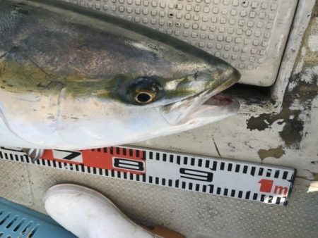 釣り船角田 釣果