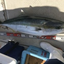 釣り船角田 釣果