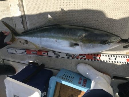 釣り船角田 釣果