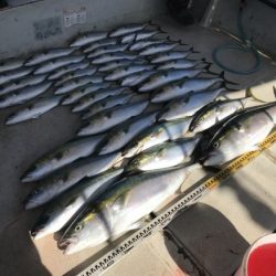 釣り船角田 釣果