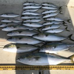 釣り船角田 釣果