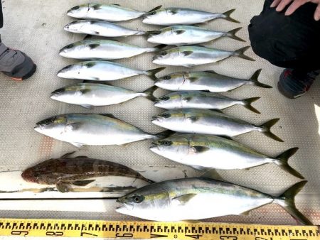 釣り船角田 釣果