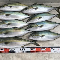 釣り船角田 釣果