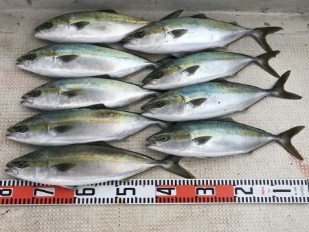 釣り船角田 釣果