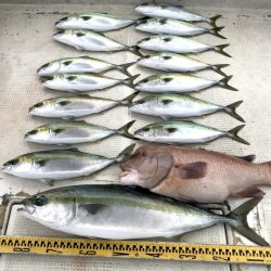 釣り船角田 釣果