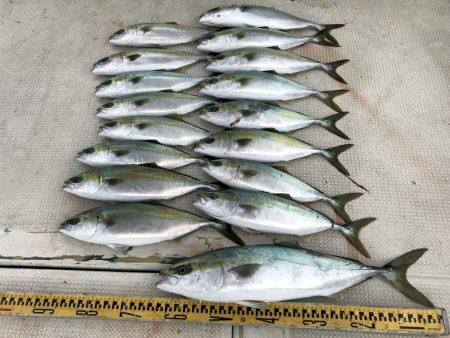 釣り船角田 釣果