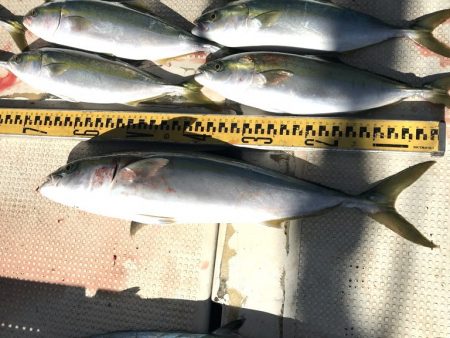 釣り船角田 釣果