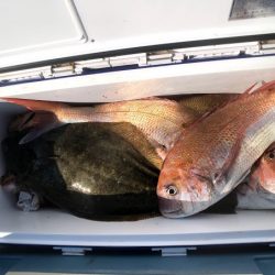 オーシャンズ　京都 釣果