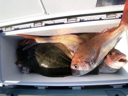 オーシャンズ　京都 釣果