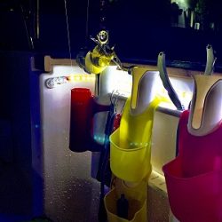 フィシングボートAir(エアー) 釣果