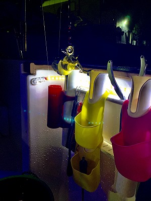 フィシングボートAir(エアー) 釣果