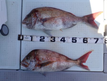 Aquanaut(アクアノート) 釣果