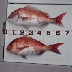 Aquanaut(アクアノート) 釣果