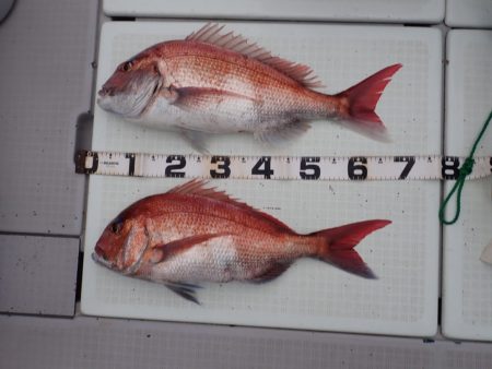 Aquanaut(アクアノート) 釣果