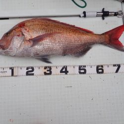 Aquanaut(アクアノート) 釣果