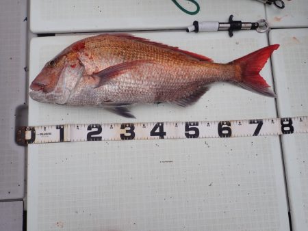 Aquanaut(アクアノート) 釣果