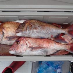 Aquanaut(アクアノート) 釣果