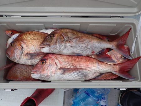 Aquanaut(アクアノート) 釣果