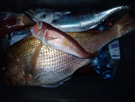 Aquanaut(アクアノート) 釣果