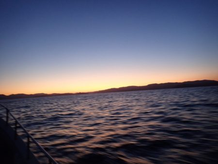 Aquanaut(アクアノート) 釣果