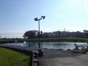 朝霞ガーデン 釣果