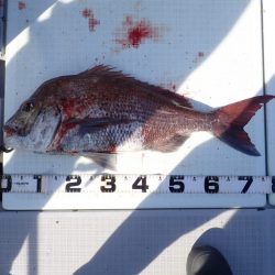 Aquanaut(アクアノート) 釣果