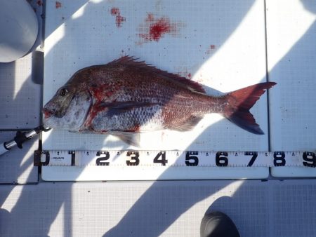 Aquanaut(アクアノート) 釣果