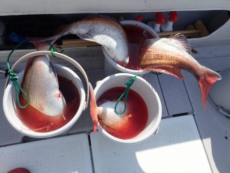 Aquanaut(アクアノート) 釣果