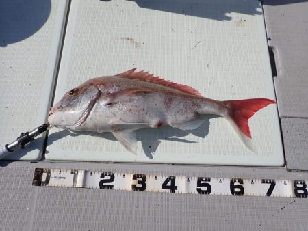 Aquanaut(アクアノート) 釣果