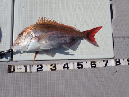 Aquanaut(アクアノート) 釣果