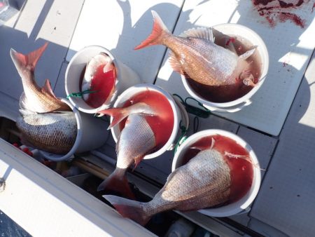 Aquanaut(アクアノート) 釣果