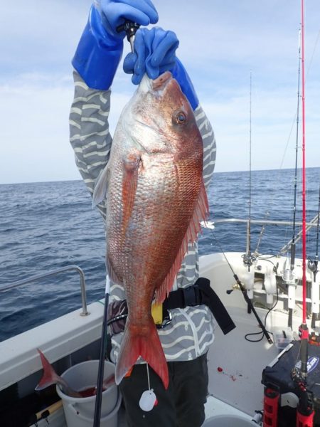 Aquanaut(アクアノート) 釣果