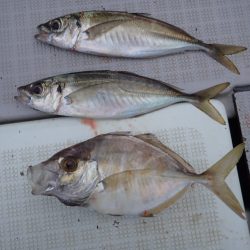 Aquanaut(アクアノート) 釣果