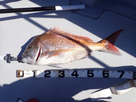 Aquanaut(アクアノート) 釣果