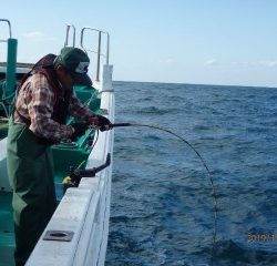 増福丸 釣果