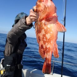 Aquanaut（アクアノート） 釣果