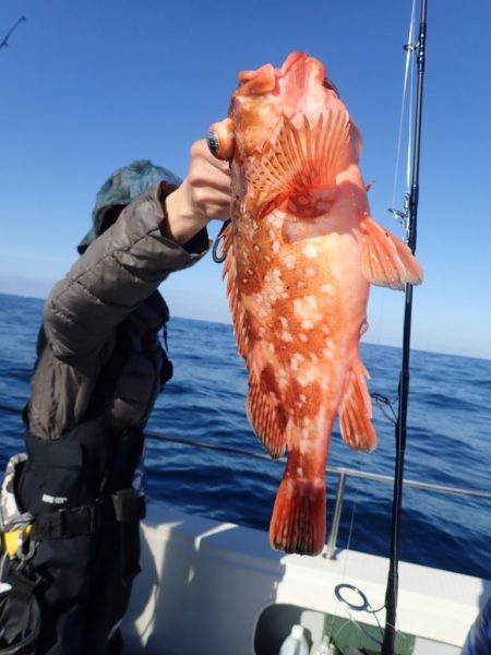 Aquanaut（アクアノート） 釣果