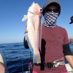 Aquanaut（アクアノート） 釣果